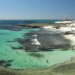 Peshkaqenët vazhdojnë kërdinë në Australi, një tjetër viktimë në plazhet vendase; 38-vjeçari u sulmua ndërsa tentonte të largohej