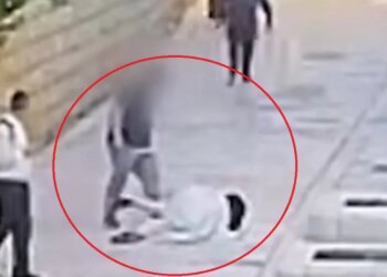 Plagosi murgeshën franceze në Jerusalem, kolonist izraelit del para gjykatës