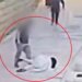 Plagosi murgeshën franceze në Jerusalem, kolonist izraelit del para gjykatës