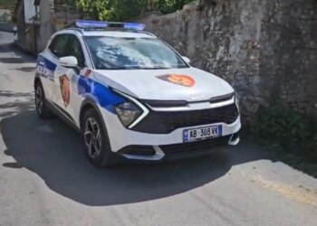 Plagosja e policit, dy vëllezër të dyshuar si autorë; efektivi për fqinjin e shoqëruar: Jemi shok fëmijërie
