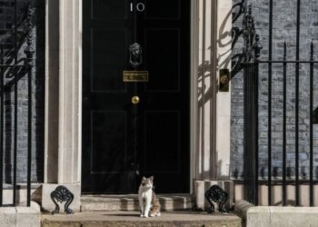 Qeveritë bien, por jo Larry — macja e Downing që shoqëroi 5 kryeministra britanikë; do Starmer të jetë viktima?
