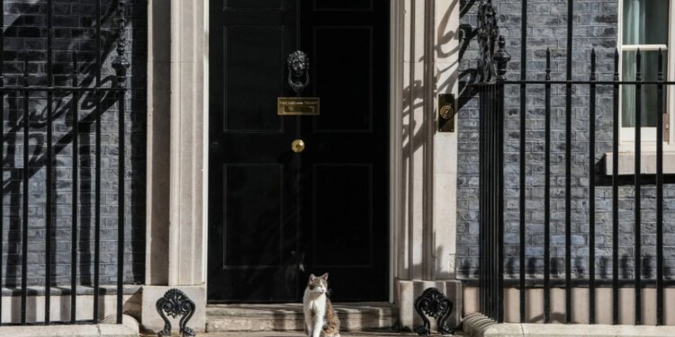 Qeveritë bien, por jo Larry — macja e Downing që shoqëroi 5 kryeministra britanikë; do Starmer të jetë viktima?