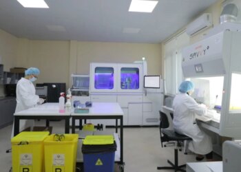 Shqipëria nuk ka Hantavirus, ISHP: rreziku për vendin dhe kontinentin është shumë i ulët
