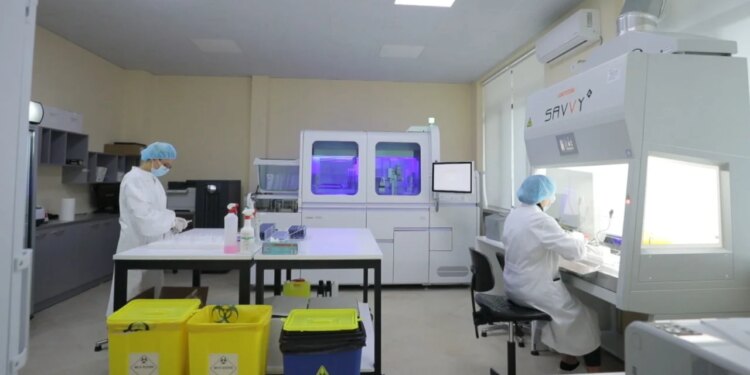 Shqipëria nuk ka Hantavirus, ISHP: rreziku për vendin dhe kontinentin është shumë i ulët