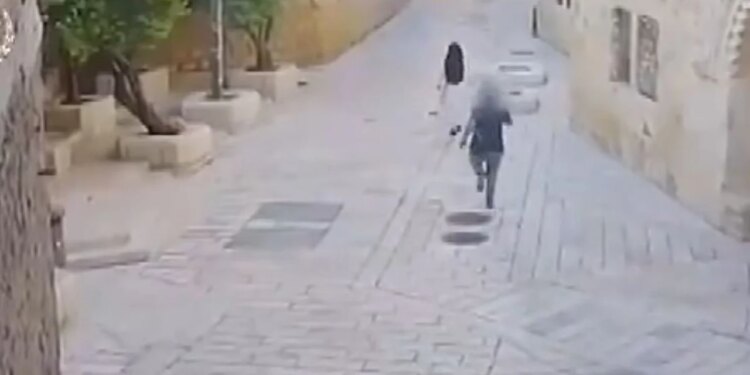Sulmi ndaj murgeshës në Izrael shkakton indinjatë në mbarë botën; nuk është rast i izoluar