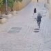 Sulmi ndaj murgeshës në Izrael shkakton indinjatë në mbarë botën; nuk është rast i izoluar