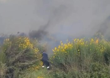 Zjarr në Vlorë: era e fortë përhap shpejt flakët në kodra dhe zonat me ullishte
