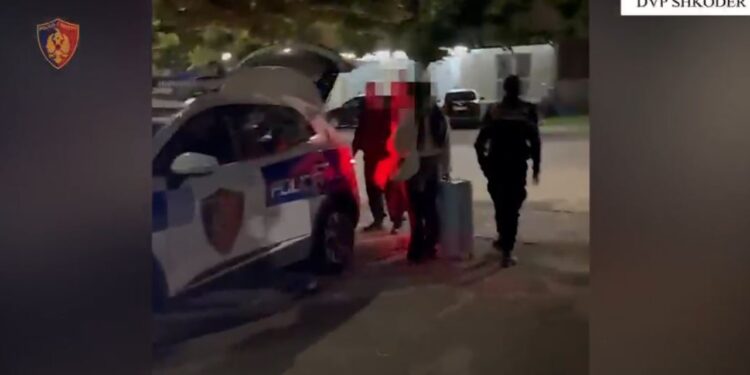 213 ngjarje kriminale vetëm gjatë muajit maj në Shkodër: prangat 33 personave, sekuestrohen lëndë narkotike dhe armë