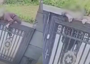 92-vjeçarja arratiset nga azili duke kapërcyer derën dy metra të lartë