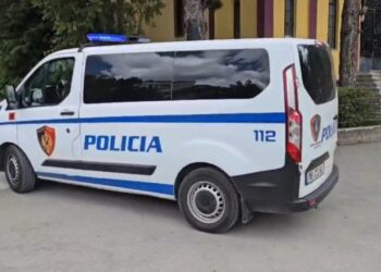 Arrestohet në Kolonjë 31-vjeçari që dhunoi me grushte e shkelma dhe i shkaktoi plagë të rënda një shtetasi