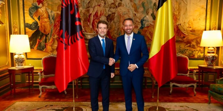 Belgjika do të hapë ambasadë në Tiranë; zëvendëskryeministri belg pret Hoxhën: Pres padurim të vizitoj, Shqipëria drejt BE