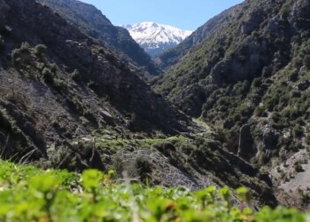 Busulla në Gjirokastër nis shënimin e shtigjeve malore në zona të thella për orientimin e turistëve