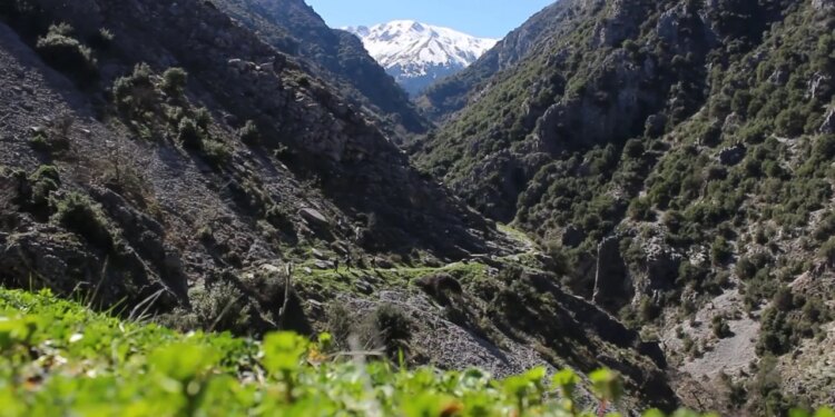 Busulla në Gjirokastër nis shënimin e shtigjeve malore në zona të thella për orientimin e turistëve