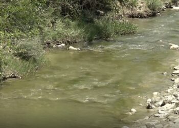 Dhjetëra krerë bagëti të ngordhura hidhen në përroin e Psarit të Këlcyrës, banorët shqetësohen për infeksione dhe sëmundje