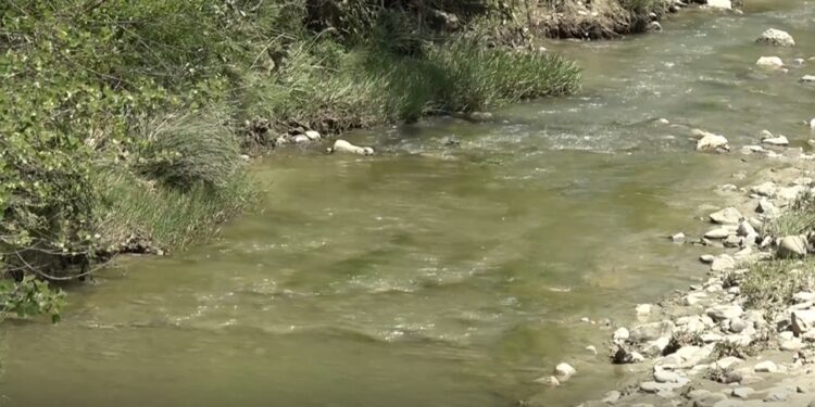 Dhjetëra krerë bagëti të ngordhura hidhen në përroin e Psarit të Këlcyrës, banorët shqetësohen për infeksione dhe sëmundje