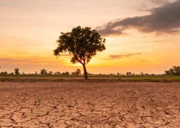 'El Nino' fillon; shkencëtarët paralajmërojnë për temperaturat e larta: viti mund të jetë ndër episodet më të forta