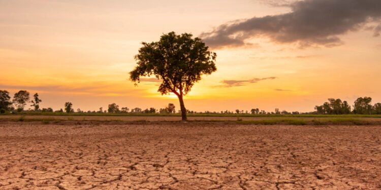 'El Nino' fillon; shkencëtarët paralajmërojnë për temperaturat e larta: viti mund të jetë ndër episodet më të forta