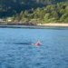 Eva Buzo rikthehet në Vlorë, rekordmenia shqiptaro-australiane nis notin rreth ishullit të Sazanit