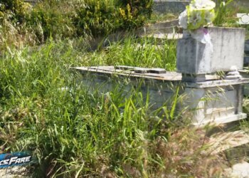 Fiks Fare/ Varrezat e Mamurrasit dhe Laçit në harresë, bari deri në 1.5 m, qytetarët mes frikës nga gjarpërinjtë