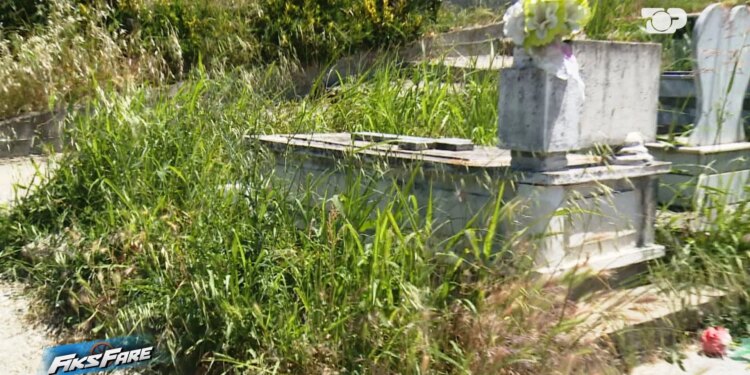 Fiks Fare/ Varrezat e Mamurrasit dhe Laçit në harresë, bari deri në 1.5 m, qytetarët mes frikës nga gjarpërinjtë