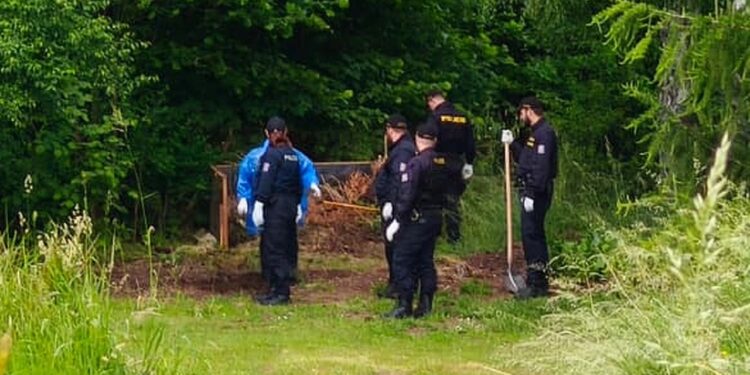 Horror në Çeki: 35-vjeçarja vret foshnjën e porsalindur dhe trupin ua hedh qenve, si vjehrra zbuloi krimin makabër