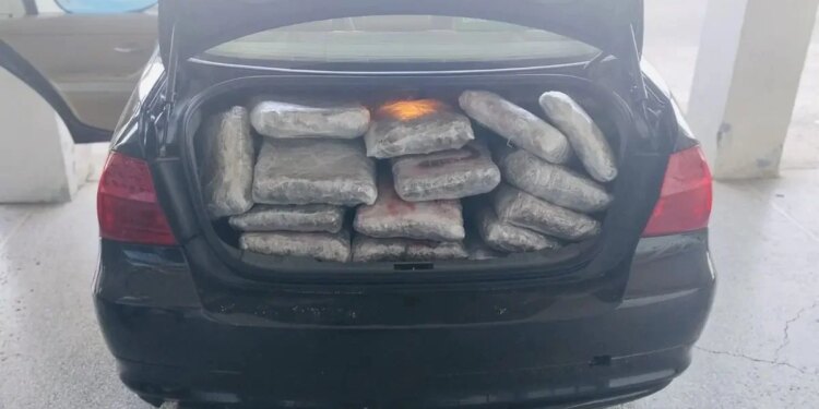 Kapen 110 kg marijuanë të fshehura në bagazhin e makinës pranë kufirit greko-shqiptar, arrestohet 43-vjeçari turk