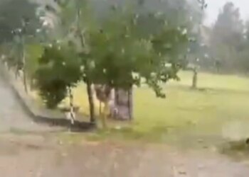 Kapriçot e motit: breshëri shkakton dëme në të mbjellat në qarkun e Elbasanit