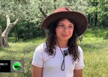 Leorena 13-vjeçare nga Fishta ndan ditët mes shkollës dhe pasionit për kuajt