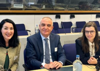 Mbrojtja e të dhënave personale: Komisioneri Dervishi prezanton në Bruksel progresin e Shqipërisë, vlerësim nga europianët