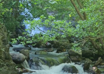 Mështekna tërheq turistët, pyjet e Shishtavecit bëhen atraksion për vendas e të huaj