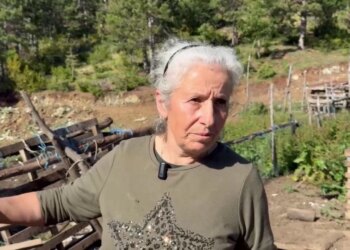 Nëna e autorit të vrasjes flet për herë parë: Polici qëlloi i pari, djali u hodh nga dritarja