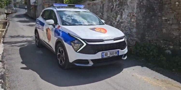 Ngjarje e rëndë në Maliq: një person vret një polic dhe plagos një tjetër në Lozhan