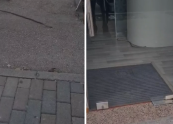 Njësia e shërbimit në Fier boshatiset, gjarpri hyn në ambientet e brendshme dhe tmerron punonjësit