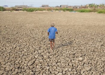 Organizata Botërore Meteorologjike paralajmëron El Niño të fuqishëm këtë verë; rritet rreziku i motit ekstrem global
