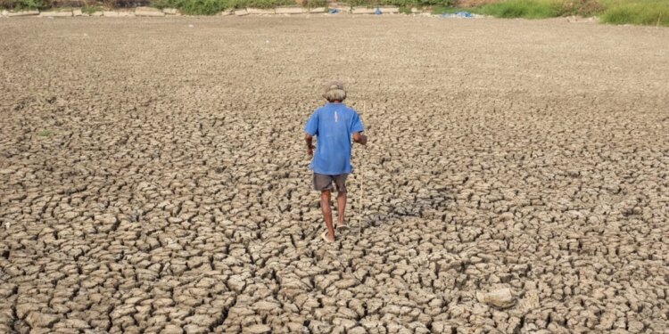 Organizata Botërore Meteorologjike paralajmëron El Niño të fuqishëm këtë verë; rritet rreziku i motit ekstrem global