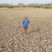 Organizata Botërore Meteorologjike paralajmëron El Niño të fuqishëm këtë verë; rritet rreziku i motit ekstrem global