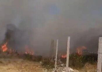 Periferia e Vlorës përfshihet nga flakët; erërat afrojnë zjarrin pranë banesave, zjarrfikësit përballen me terren të vështirë