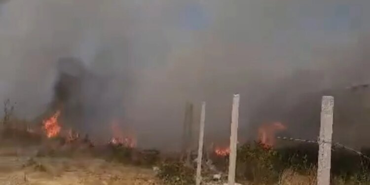 Periferia e Vlorës përfshihet nga flakët; erërat afrojnë zjarrin pranë banesave, zjarrfikësit përballen me terren të vështirë