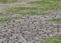Po vjen Super El Nino, OKB paralajmëron: I nxehtë si kurrë më parë
