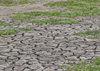 Po vjen Super El Nino, OKB paralajmëron: I nxehtë si kurrë më parë