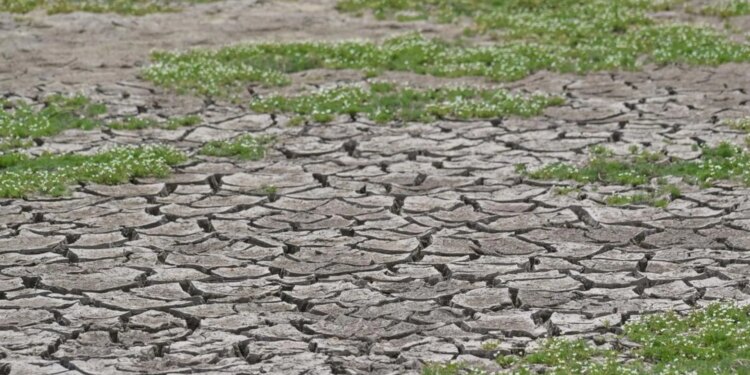 Po vjen Super El Nino, OKB paralajmëron: I nxehtë si kurrë më parë