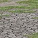 Po vjen Super El Nino, OKB paralajmëron: I nxehtë si kurrë më parë