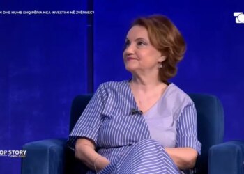 Profesoresha e njohur e ekonomisë: Investimet e huaja të domosdoshme për zhvillimin, qeveria duhet të rrisë transparencën