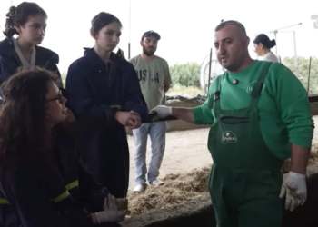 Punë pa teka — nallbani Sema: Nuset nuk vijnë në fshat, më tremb që kam 3 djem, dua afër