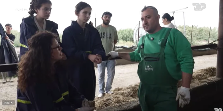 Punë pa teka — nallbani Sema: Nuset nuk vijnë në fshat, më tremb që kam 3 djem, dua afër
