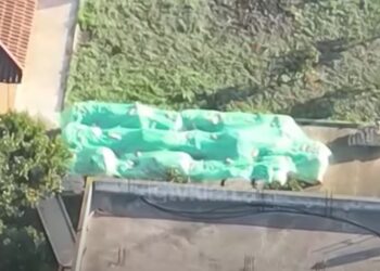 SPAK kërkon 14 vite burg për kimistin kolumbian që ndante kokainën nga plehu organik në Fier