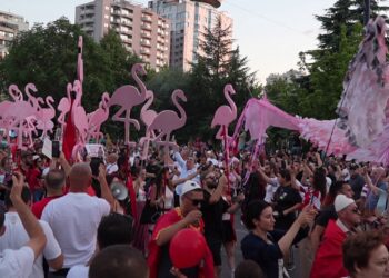 Sa dinë për flamingot? Protestuesit ndahen mes mbrojtjes së natyrës dhe revoltës politike, qytetarët: Qëllimi: largimi i qeveritarëve