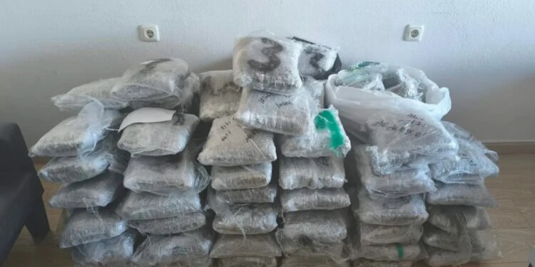 Sekuestrohen 96 kg marijuanë në kufirin greko-shqiptar; në Igumenicë kapet ngarkesë tjetër, dyshohet të jetë trafikuar nga Saranda