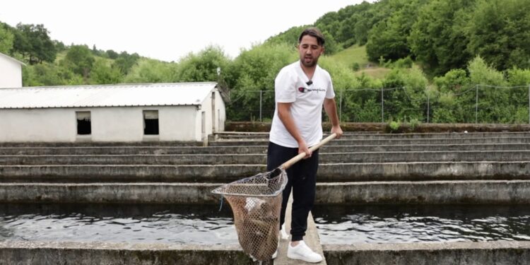 Trofta e Bulqizës: Në fshatin Kovashicë prodhohen 40 tonë çdo vit, mban gjallë ekonominë e zonës