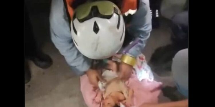 VIDEO: Mrekulli mes rrënojave të tërmetit në Venezuelë, foshnja 18-ditëshe shpëtohet e gjallë
